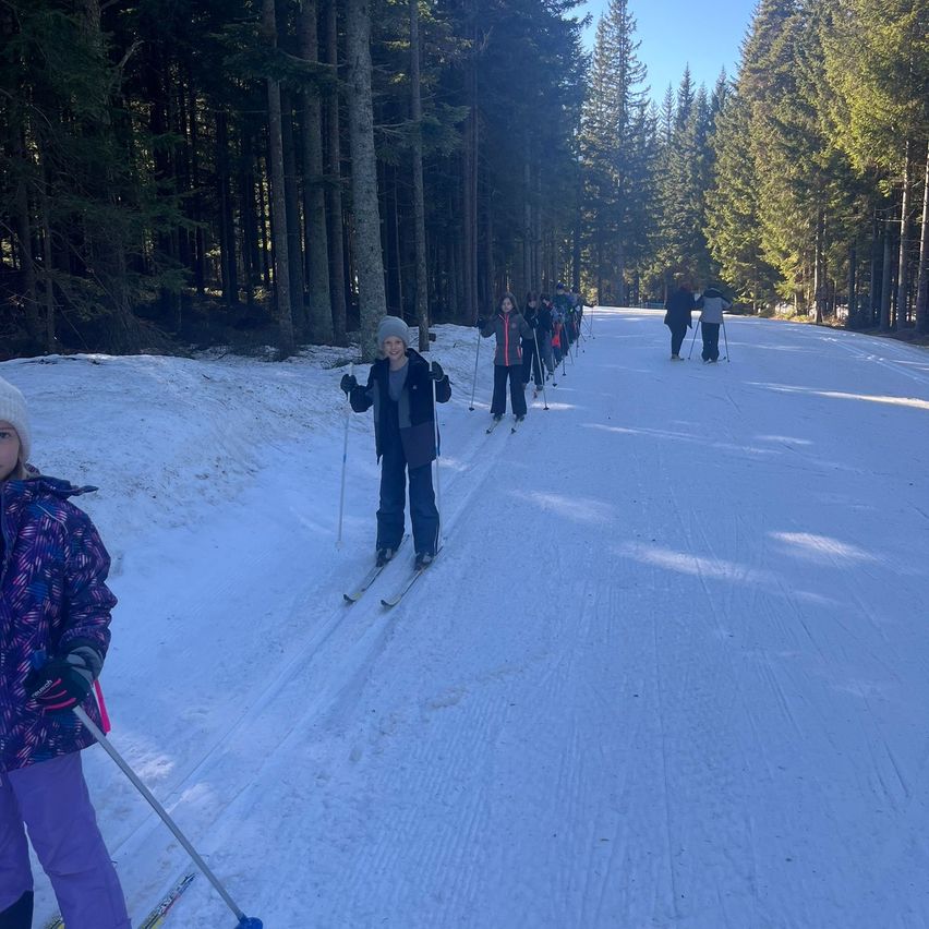 Eine Gruppe von Kindern slalomt auf einem verschneiten Pfad durch einen Kiefernwald. Sie tragen Winterkleidung und Skiausrüstung. Der Himmel ist klar und blau.