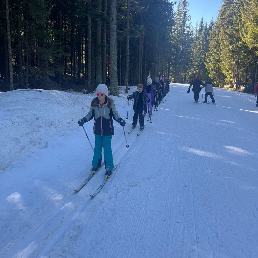 Eine Gruppe von Kindern und Erwachsenen treibt im Schneewald an einem sonnigen Tag Skisport. Sie fahren auf einer von Bäumen gesäumten Piste.