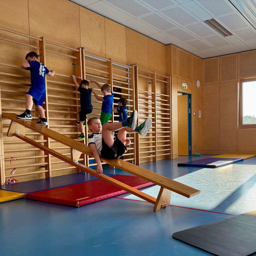 Fünf Kinder machen Übungen auf hölzernen Balancebrettern und Klettergeräten in einer Turnhalle mit blauem Boden.