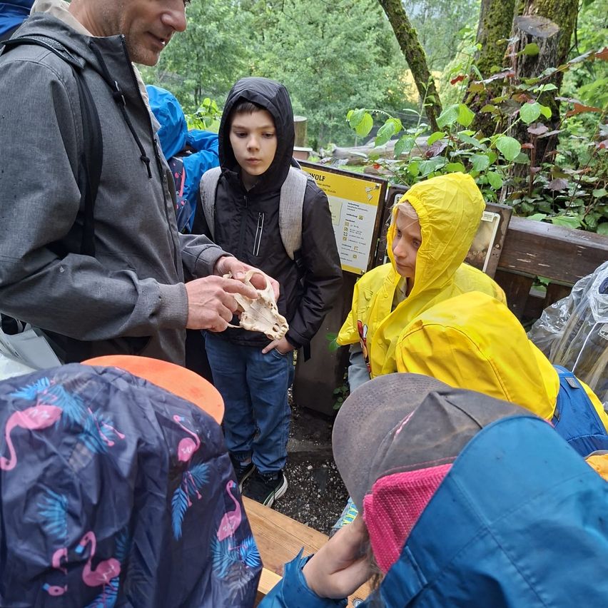 A man holds a skull while a group of children in raincoats look on, standing in a forest setting.