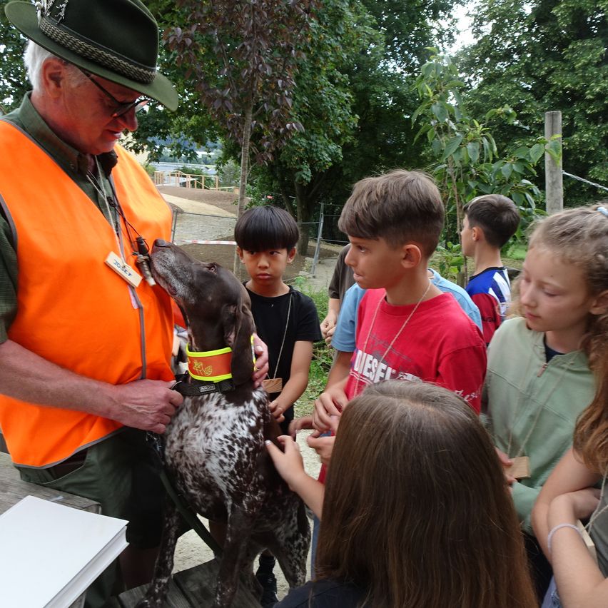 Ein älterer Mann in einem orangefarbenen Sicherheitsweste zeigt Kindern in einem Park einen gefleckten Hund. Bäume und ein Holzzaun sind im Hintergrund zu sehen.