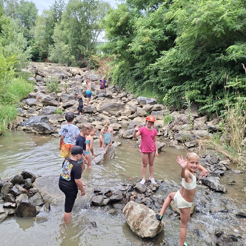 Kinder spielen in den flachen Gewässern eines Baches, umgeben von Felsen und Grün. Einige stehen, während andere ins Wasser waten.