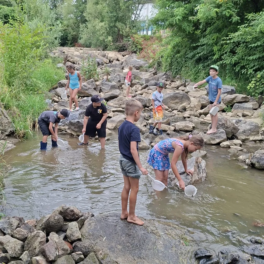 Eine Gruppe von Kindern fängt Fische mit Netzen in einem kleinen Bach. Sie stehen auf Felsen und im Wasser.
