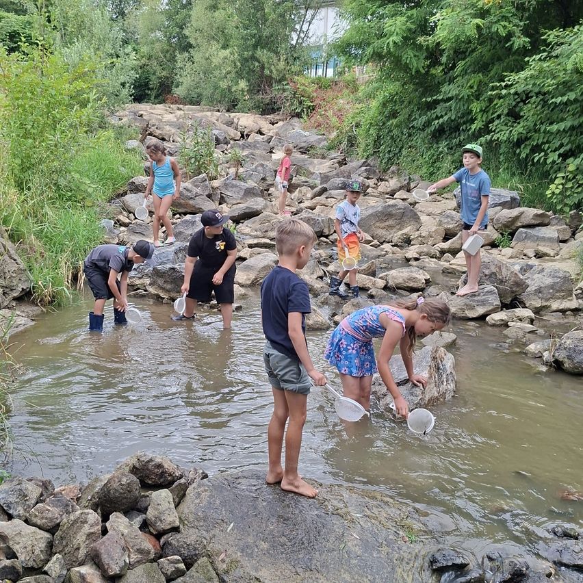 Eine Gruppe von Kindern fängt Fische mit Netzen in einem kleinen Bach. Sie stehen auf Felsen und im Wasser.