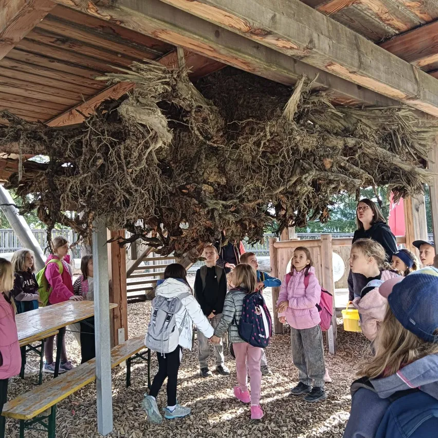 Eine Gruppe von Kindern steht unter einer Holzstruktur, an der getrocknete Pflanzen von der Decke hängen.