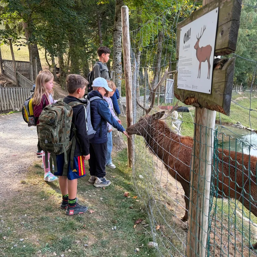 Eine Gruppe von Kindern steht an einem Zaun und schaut auf ein Reh. Das Reh frisst etwas von einem Holzpfosten.