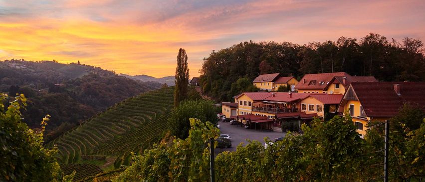 Bild enthält, Nature, Outdoors, Countryside, Rural, Farm, Car, Village, Vineyard