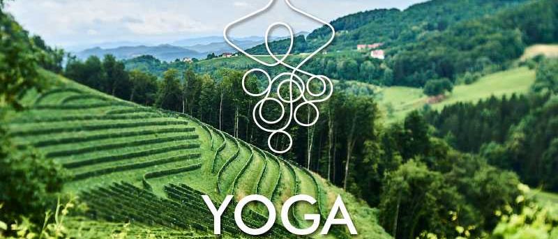 Bild enthält, Nature, Outdoors, Countryside, Rural, Farm, Agriculture, Vineyard