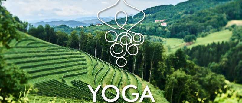 Bild enthält, Nature, Outdoors, Countryside, Rural, Farm, Agriculture, Vineyard