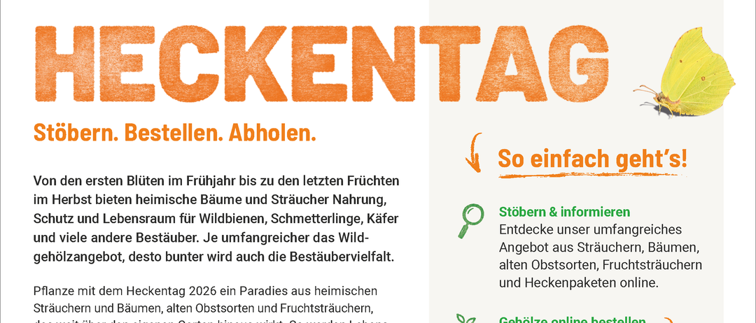 Eine Werbung für den Heckentag 2026, die eine Biene auf einer Blume zeigt und den Kauf von einheimischen Pflanzen und Sträuchern zur Unterstützung von Wildtieren bewirbt. Es hebt die Vielfalt der verfügbaren Pflanzen und die Vorteile der Unterstützung lokaler Ökosysteme hervor.