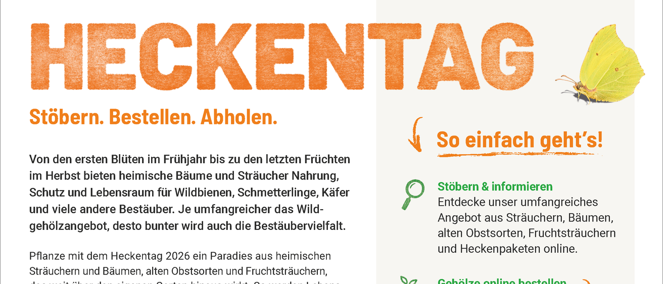 Eine Werbung für den Heckentag 2026, die eine Biene auf einer Blume zeigt und den Kauf von einheimischen Pflanzen und Sträuchern zur Unterstützung von Wildtieren bewirbt. Es hebt die Vielfalt der verfügbaren Pflanzen und die Vorteile der Unterstützung lokaler Ökosysteme hervor.