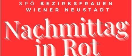 Plakat für die Veranstaltung 'Nachmittag in Rot' am 9. August 2025 von 15:00 bis 20:00 im Schloss Fischau in Bad Fischau-Brunn. Das Programm umfasst eine Modenschau um 16:00 Uhr, Verkauf von Frauen für Frauen und ein Kinderprogramm um 18:00 Uhr. Zeigt einen Sänger auf der Bühne.