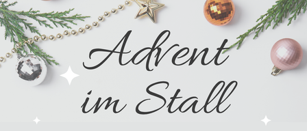 Ein Plakat für Advent im Stall. Es zeigt eine festliche Szene mit Dekorationen, beinhaltet Informationen über Punsch, kulinarische Köstlichkeiten und Tombola und hebt das Ponyreiten von 16:00-18:00 Uhr hervor. Die Veranstaltung ist für den 20. Dezember angesetzt, beginnend um 16:00 Uhr in der Ungarfeldgasse 841, 2721 Bad Fischau-Brunn. Die Botschaft 'Wir freuen uns auf euch!' ist ebenfalls angezeigt.