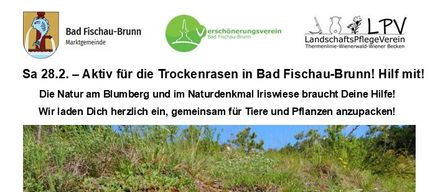 The nature at Blumberg and in the Iriswiese nature reserve needs your help! We invite you to pack together for animals and plants. In Bad Fischau-Brunn, Blumberg and Iriswiese nature reserve are very valuable dry areas. Dry areas are the most species-rich, flowering and insect-rich habitats. Join us on Saturday, February 28, 2026.