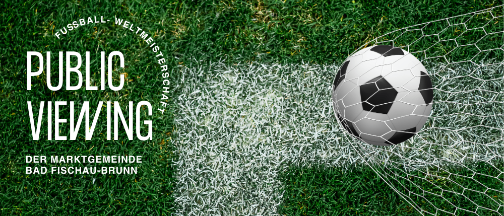 Ein Fußball liegt im Tornetz auf einem grünen Feld mit einer weißen Linie und Gras. Der Text lautet 'BLIC EINWING' und 'FUSSBALL-WELTMEISTERSCHAFT'.