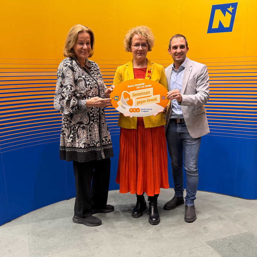 Drei Personen stehen zusammen vor einer gelben Wand mit blauen Streifen und einem Logo. Sie halten ein Schild mit der Aufschrift 'Gemeinsam gegen Gewalt' in Deutsch.