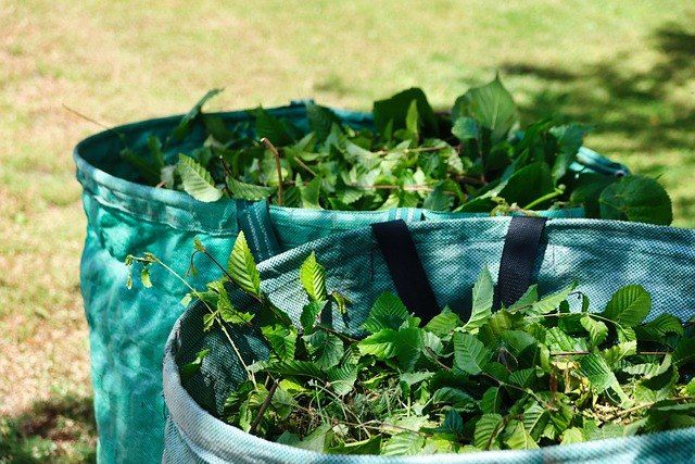 Two blue bags filled with green leaves and small branches are placed on the ground. The bags are tied with black straps. The ground is covered with grass.