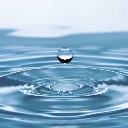 v1_migrated_image_11671924