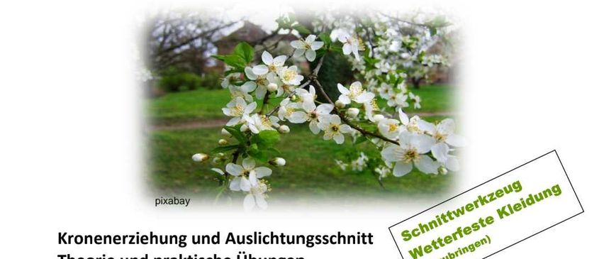 Bild enthält, Advertisement, Poster, Person, Flower, Plant, Head