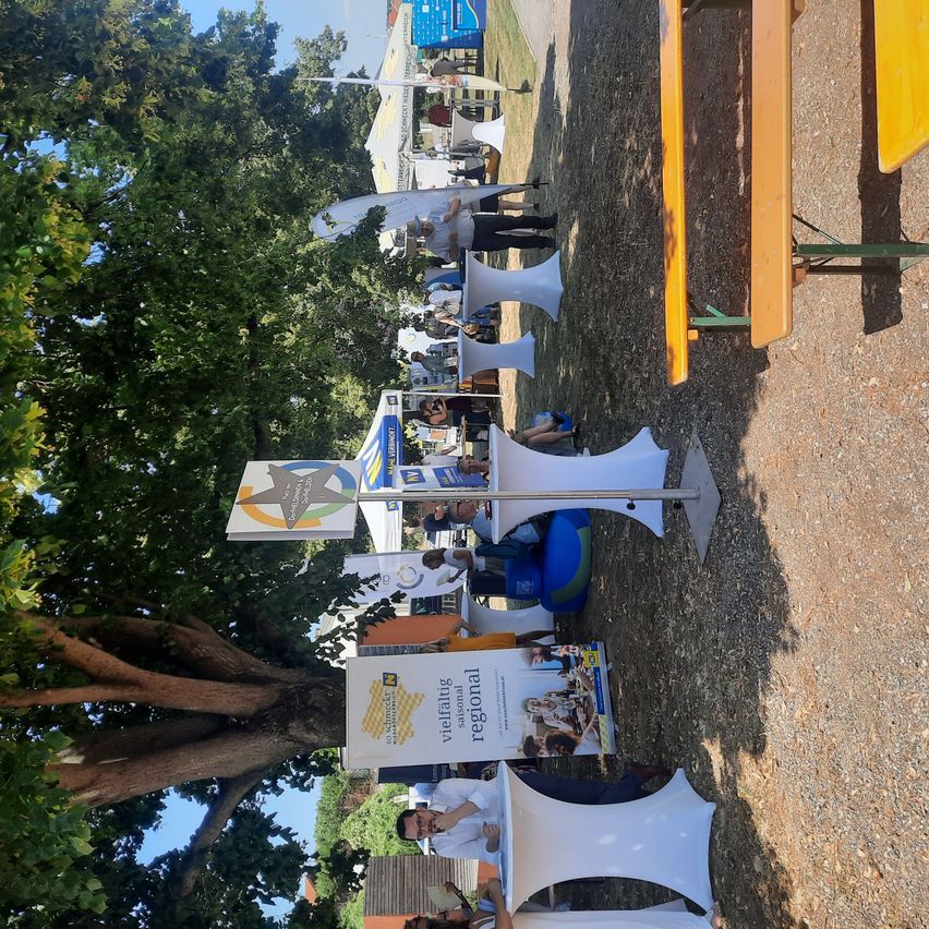 Ein Außenbereich mit mehreren Personen, die an weißen Tischen unter einem Baum sitzen und stehen. Einige Banner sind auf den Tischen. Ein paar Leute stehen hinter den Tischen.