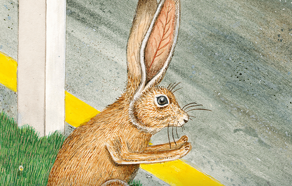 Bild enthält, Animal, Hare, Mammal, Rodent, Bird