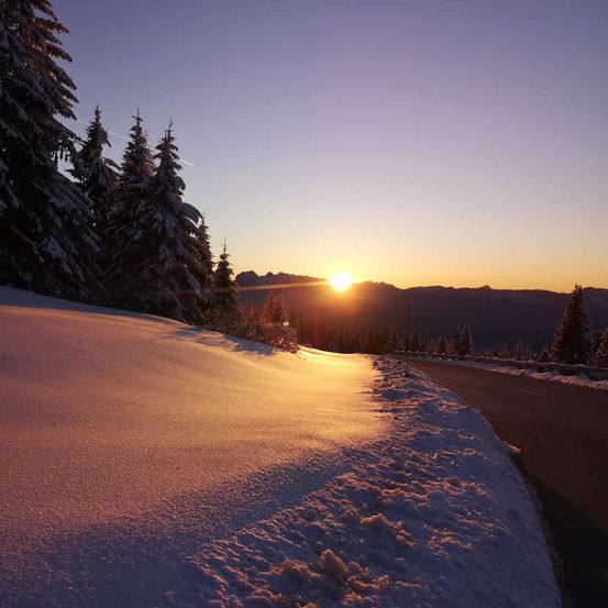 Sonnenuntergang über einer verschneiten Bergstraße mit Kiefern und Bergen im Hintergrund.