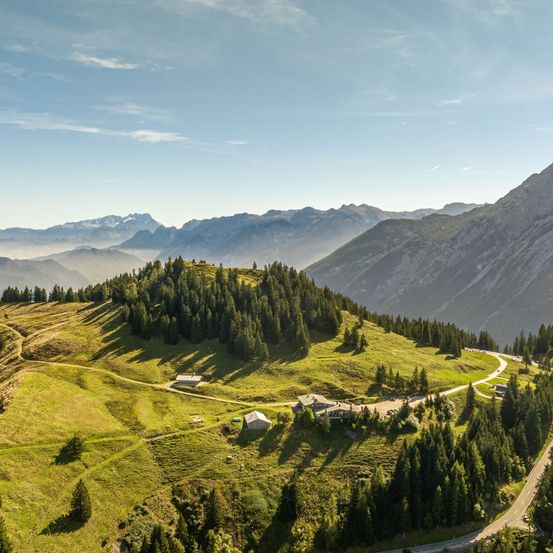 Eine Luftaufnahme eines grünen Hügels mit einer Straße und mehreren kleinen Häusern. Die Hügel sind mit Bäumen bedeckt und haben einen klaren blauen Himmel darüber.