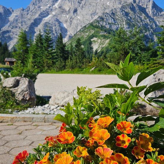 Im Hintergrund befinden sich Berge mit verschneiten Gipfeln, und im Vordergrund mehrere große Steine und grüne Pflanzen. Im Vordergrund befinden sich orange und gelbe Blumen.