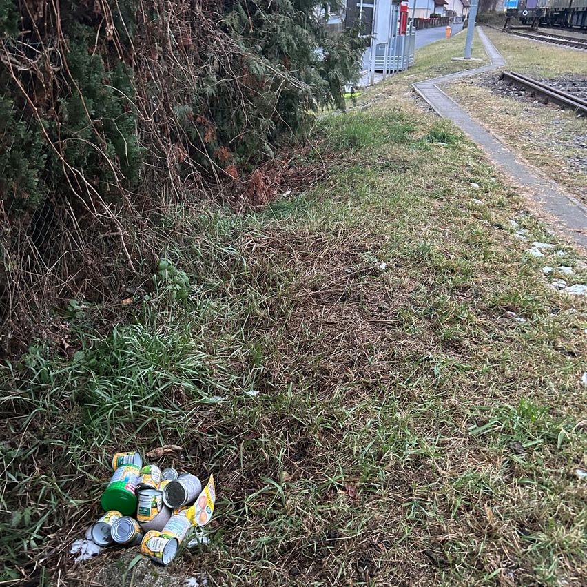 In der Nähe eines Busches liegen mehrere Dosen auf dem Boden in der Nähe einer Bahnlinie. Die Dosen sind grün, gelb und weiß.