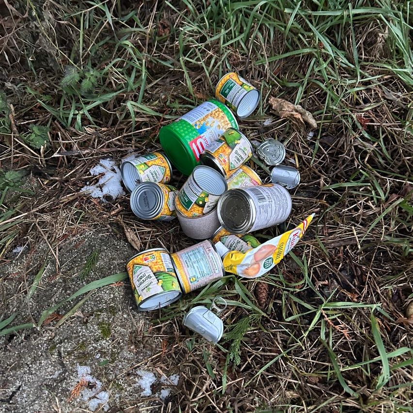 Eine Sammlung leerer Dosen und Behälter liegt verstreut auf dem Gras, einige mit Etiketten und andere ohne. Sie sind über einen kleinen Erdfleck verteilt.