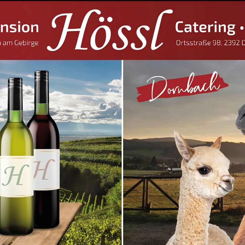 Werbung für Hossl mit zwei Weinflaschen und einem Alpaka. Im Hintergrund sind Weinberge und Berge zu sehen.