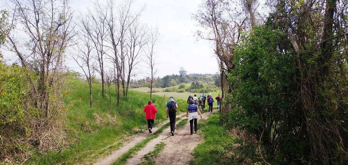 v1_migrated_image_26261561