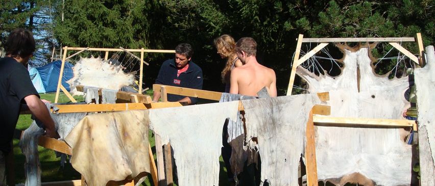 Bild enthält, Wood, Plywood, Grass, Back, Person, Adult, Male, Man, Tree, Shorts