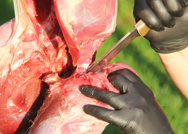 Bild enthält, Clothing, Glove, Body Part, Finger, Hand, Person, Architecture, Building, Hospital