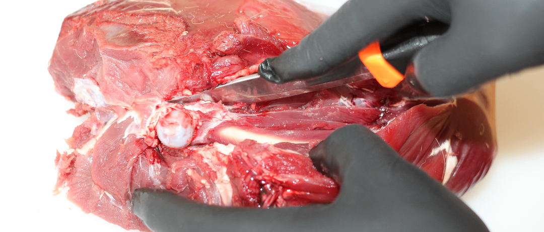 Bild enthält, Architecture, Building, Hospital, Clinic, Clothing, Glove, Operating Theatre