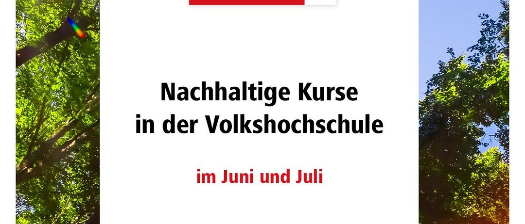 Bild enthält, Vegetation, Land, Tree, Woodland, Rainforest, Grove, Jungle, Sunlight, Sky, Advertisement