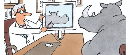 Eine Karikatur zeigt einen Arzt, der einen Nashorn auf einem Computerbildschirm untersucht. Das Nashorn sieht besorgt aus. Der Text lautet 'Cartoons & Comics: VHS-Kurse mit Oliver Ottitsch!'