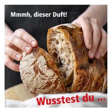 Bild enthält, Bread, Food