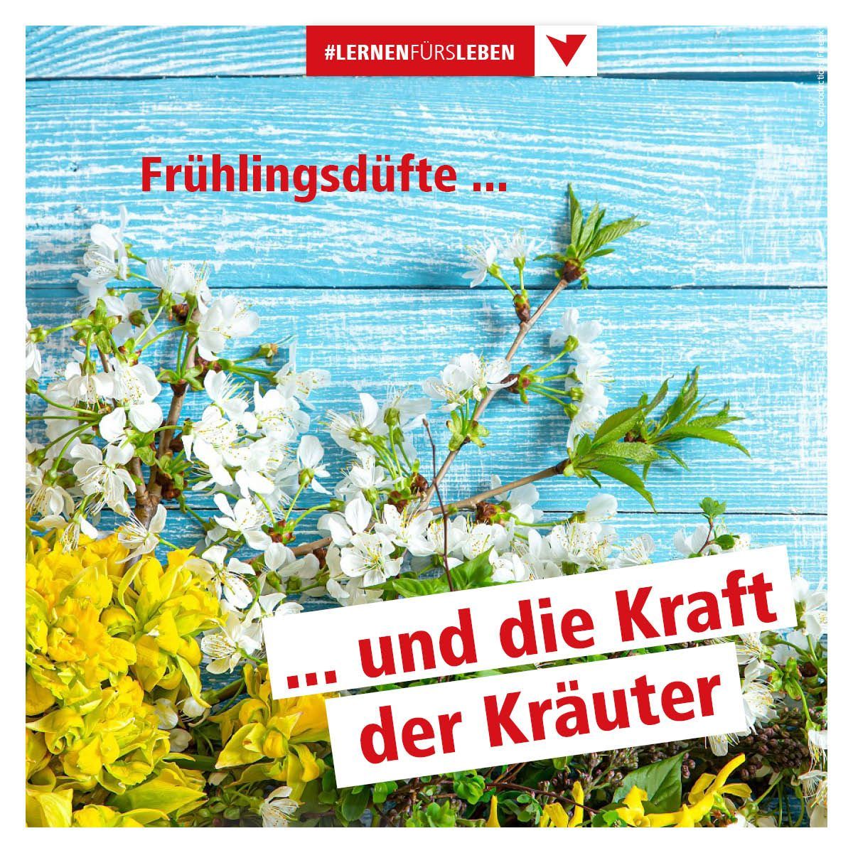 Bild enthält, Advertisement, Poster, Herbal, Flower, Vegetation, Leaf, Outdoors, Petal, Summer, Nature