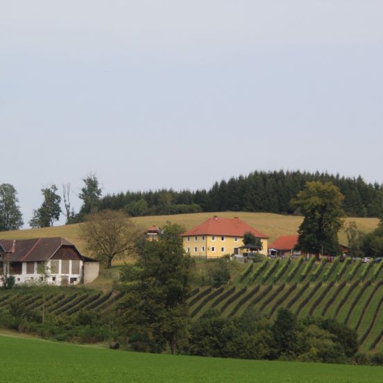 Bild enthält, Nature, Outdoors, Countryside, Rural, Field, Grassland, Building, Farm, Pasture, Housing