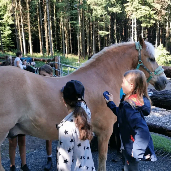 Zwei Mädchen stehen neben einem Pferd im Wald. Ein Mädchen bürstet das Pferd mit einer blauen Bürste.