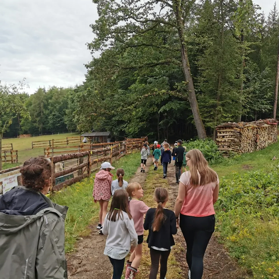 Eine Gruppe von Kindern und Erwachsenen läuft auf einem Pfad in einem Wald, mit einem Holzzaun links und einem Holzstapel rechts.
