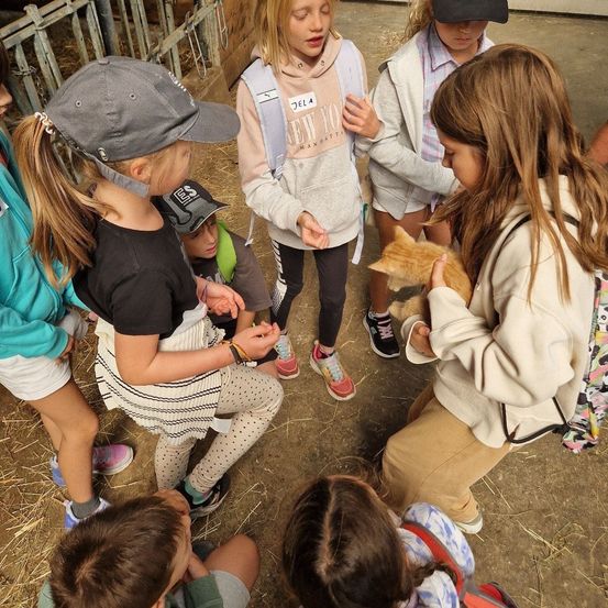 Eine Gruppe von Kindern ist um eine junge orangefarbene Katze auf einem Bauernhof versammelt. Einige halten sie, während andere zuschauen.