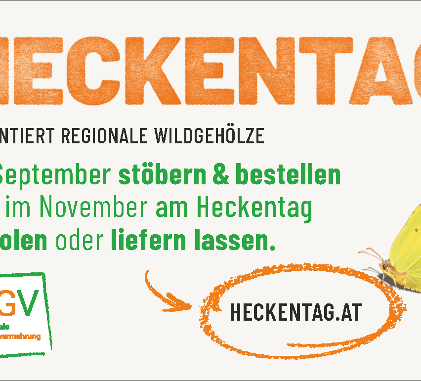 Werbung für Heckenta, ein regionales Wildbaum-Gewächshaus, das die Leute ermutigt, im September zu stöbern und zu bestellen und im November abzuholen oder liefern zu lassen. Ein Schmetterling ist neben der Website-Adresse Heckenta.at zu sehen.