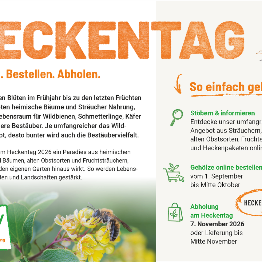 Plakat für die Heckentag-Veranstaltung mit einer Biene auf einer Blume, die den Kauf von einheimischen Pflanzen und Sträuchern für Wildtiere bewirbt. Es hebt die Vielfalt der verfügbaren Pflanzen und die Vorteile für Bestäuber hervor.