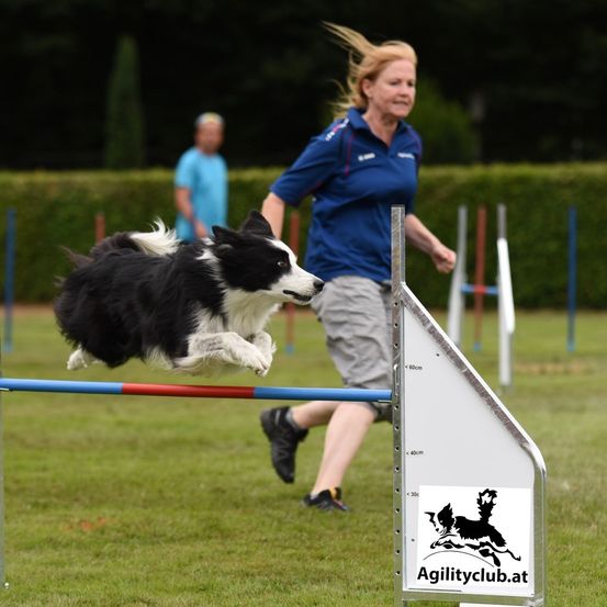 Bild enthält, Grass, Person, Canine, Dog, Mammal, Pet, Shoe, Collie, Face, Hurdle