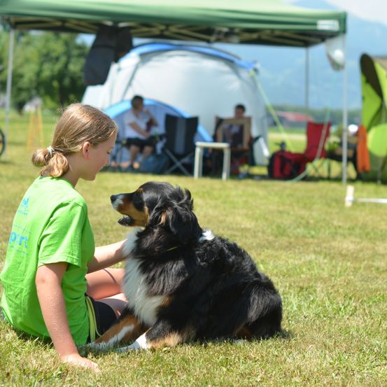 Bild enthält, Outdoors, Shelter, Grass, Person, Dog, Tent, Camping, Park, Lawn, Chair