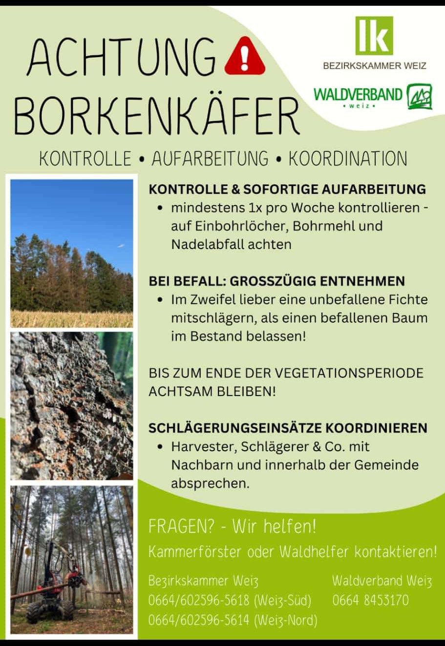 Ein Werbeplakat für Borkenkaefer-Kontrolle mit einem Waldbild und Anweisungen zur Überwachung und Koordination der Entfernung betroffener Bäume.