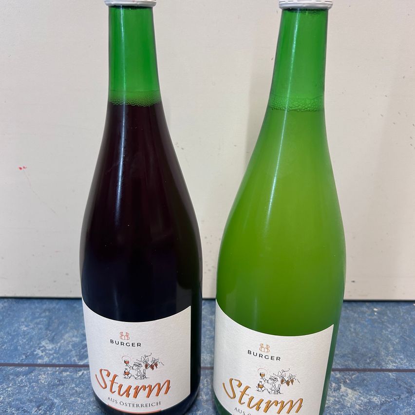 Two bottles of Sturm beer, one dark and one light green, sit side by side on a blue surface. Both bottles have white labels with orange text and a small illustration.