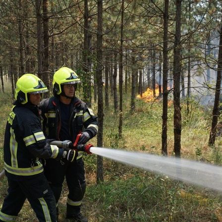 Zwei Feuerwehrleute in gelben Uniformen löschen einen Waldbrand mit einem Schlauch, Bäume und Gras brennen im Hintergrund.